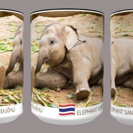 Elephant Nature Park: Baby Elephant Coffee Cup