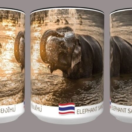 Elephant Nature Park: Elephant in Lake Coffee Cup